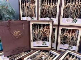 长白山20年山参礼盒