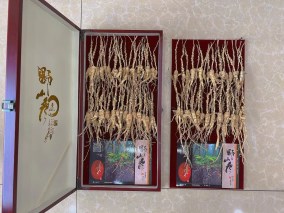 长白山40年野山参礼盒