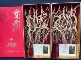 长白山20年野山参礼盒
