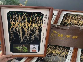长白山30年野山参礼盒