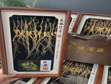 长白山30年野山参礼盒