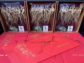 长白山18年林下参礼盒