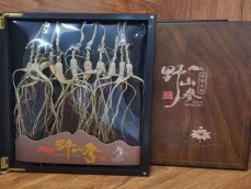 精选十八年林下籽参10颗