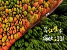 红旗自驾，探秘醉美国道G331